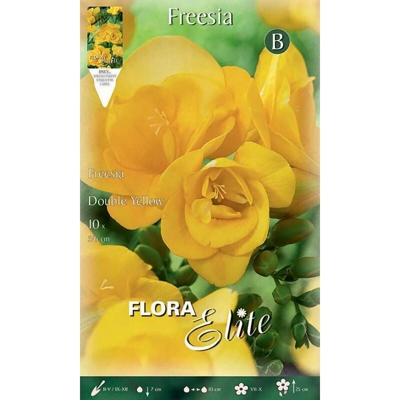 Bulbi Primaverili Freesia Double Yellow Confezione Da 10 Bulbi Bulbs Bulbes