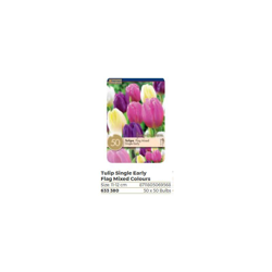 Bulbi di Tulipano Single Early confezione da 50 pz KAPITEYN precio