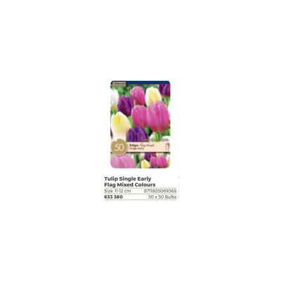 Bulbi di Tulipano Single Early confezione da 50 pz KAPITEYN