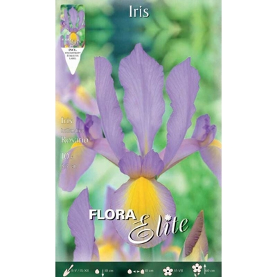 Bulbi Autunnali Iris Hollandica Rosario Confezione Da 10 Bulbi Bulbs Bulbes