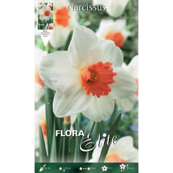 Bulbi Autunnali Narciso Large-Cupped Cool Flame Confezione Da 5 Bulbi Bulbs Bulbes precio