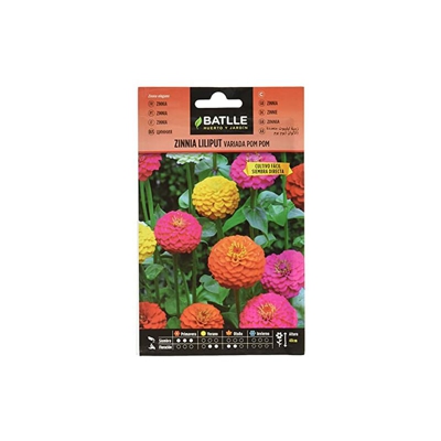 Battle - Semi di Zinnia Liliput variegata PON PON