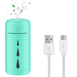 Teguangmei Umidificatore Mini USB,Dispositivo di Umidificazione Avanzato Muto da 350ml,Auto Spegnimento Senza Acqua,2 Modalità di Nebbia, per Bambini  características