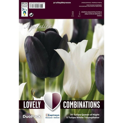 Bulbi Di Tulipano Combi Black & White confezione 15 pz KAPITEYN características