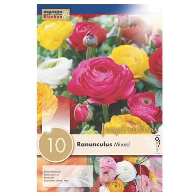 Ranunculus Mix