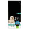 Purina Pro Plan Large Puppy Robust OptiDigest Ricco in Agnello Crocchette - Set %: 2 x 12 kg características