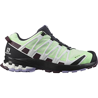 Salomon XA PRO 3D v8 GTX W, Scarpe da Trail Running Impermeabili, Donna, 41 1/3 EU, Verde Chiaro (Patina Green/Winetasting/Lavender)
