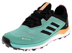 adidas Terrex Agravic Flow GTX W, Scarpe da Trail Running Donna, MENACI/NEGBÁS/ROSCHI, 38 EU en oferta