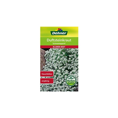 Blumen-Saatgut, Duftsteinkraut, Schneeteppich, 0.7 g Sementi, 5er Pack (5 x 0.7 g) - Dehner