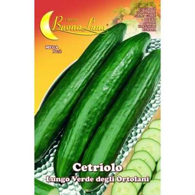 Semi Orto Cetriolo Verde