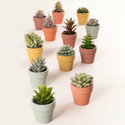 SKLUM Confezione da 12 Mini Cactus Artificiali Espini Multicolore Classic Polietilene – Acciaio