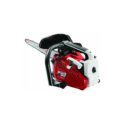 Champion-TCS 2600-Carving Motosega