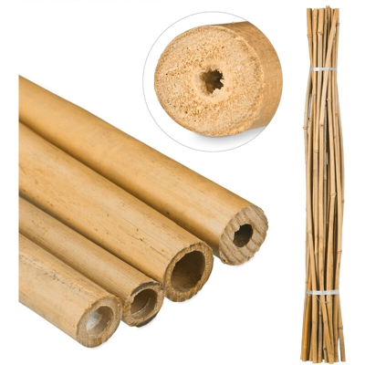 Canne di Bambù 150 cm, in Bambù Naturale, Sostegno per Piante Rampicanti, Bricolage, Legno Naturale