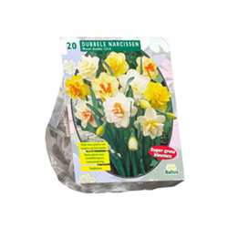 Narcis Dubbel Mix 20 Pz precio