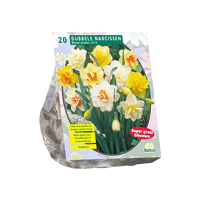 Narcis Dubbel Mix 20 Pz