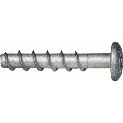 Vite per calcestruzzo CELO BTS PT 6-40 / 5 Testa bombata TX30 ZnAl (Par 150)