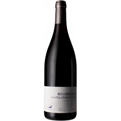 HAUTES COTES DE NUITS 2020 - DOMAINE PANSIOT precio