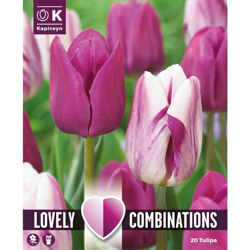 Bulbi Autunnali di Tulipano Combi Purple & White confezione 20 pz - Kapiteyn en oferta