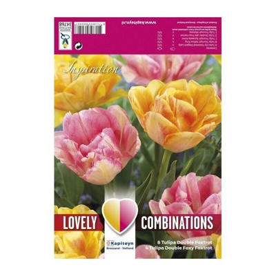 Bulbi Autunnali di Tulipano Combi Double Orange & Pink confezione da 12 pz KAPITEYN