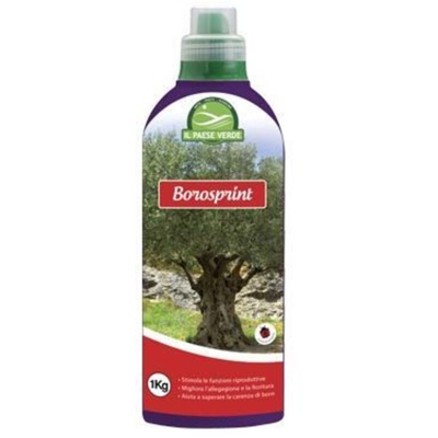 CONCIME LIQUIDO BOROSPRINT KG.1 H16006 LedLeds