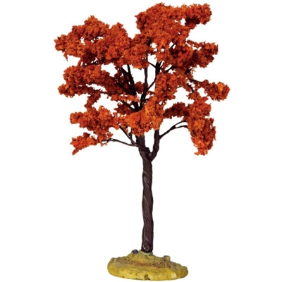 Yellowwood Tree, Medium Cod. 44799