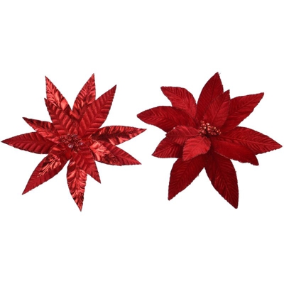 Poinsetta Stella 2 Ass Glitterred