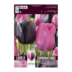 Bulbi Autunnali di Tulipano Combi Single Late Black & Pink confezione 15 pz KAPITEYN en oferta