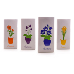 Umidificatore X Termosifoni Fiori Assortiti características