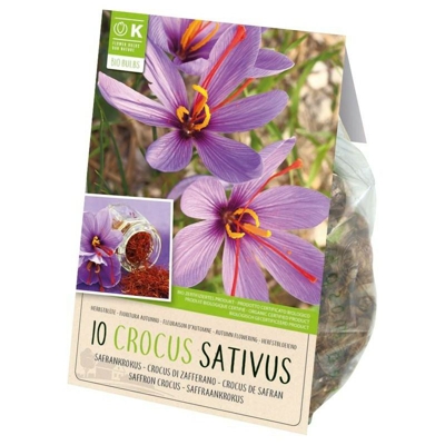 Bulbi BIO di Crocus Safraan confezione da 10 pz - Kapiteyn