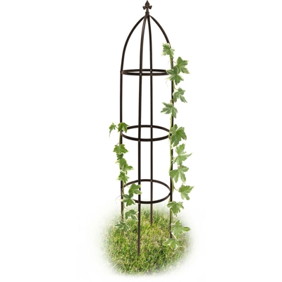 Struttura per Piante Rampicanti Ad Arco, Traliccio Circolare 190 cm, Accessori Giardinaggio, Marrone