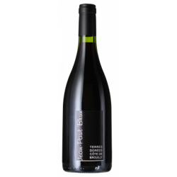 COTE DE BROUILLY 2020 - JEAN-PAUL BRUN - DOMAINE DES TERRES DOREES precio