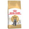Royal Canin British Shorthair Adult - 400 g precio