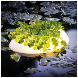 Luce Galleggiante Per Laghetto 3 W Bianco Ovale en oferta