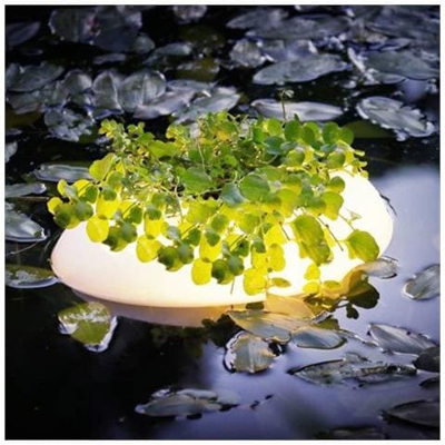 Luce Galleggiante Per Laghetto 3 W Bianco Ovale