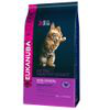 Eukanuba Kitten Healthy Start - 4 kg en oferta