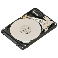 Hard Disk Interno 300GB 2,5'' Interfaccia SAS 12 Gb / s 15000 Rpm características