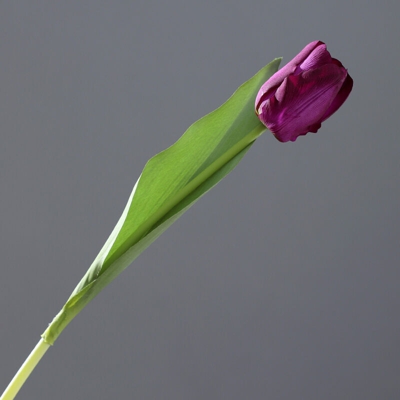12 Pezzi Tulipani Artificiali Tocco Reale Fiori Finti per Casa Nozze Mazzo Festa Preparativi Ufficio DIY Decorazione (Viola)