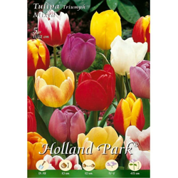 Tulipani Triumph Mixed - 5 bulbi precio