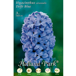 Giacinti Orientali Delft Blue - 3 Bulbi precio