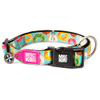 Collare per cani Max & Molly Smart ID Donuts - Tg. S: circonferenza 28-45 cm x H 1,5 cm características