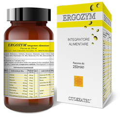 ERGOZYM 250 ML características