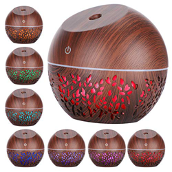 Zwindy Purificatore di aromi Semplice a Basso Rumore con Motivo Elegante, umidificatore, per Donna Ufficio Ragazze a casa precio