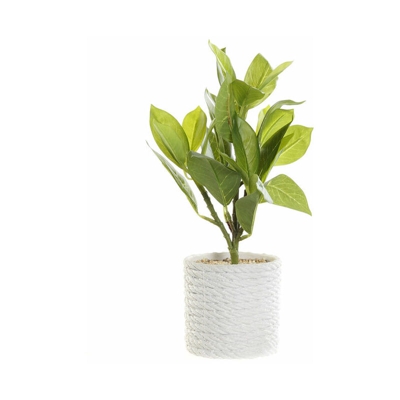 Pianta Decorativa DKD Home Decor Bianco Verde PVC EVA (23 x 23 x 30 cm)