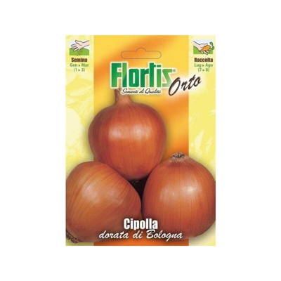 Cipolla Dorata Di Bologna