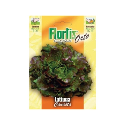 Lattuga Canasta