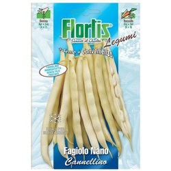 Semi In Bustafagiolo N.Cannellino 70 G características