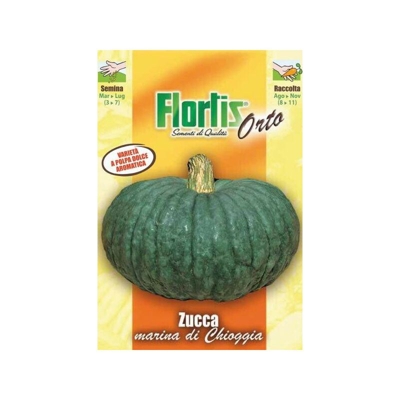 Zucca Marina Di Chioggia