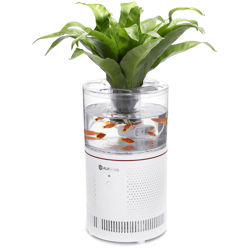 Purificatore d'aria Ufficio con per acquario Barra di ossigeno naturale Filtro per soggiorno Disponibile Deodorante purificatore precio