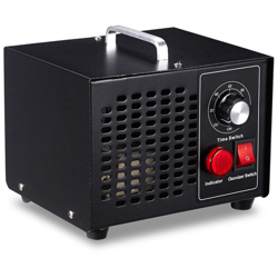 Generatore di ozono Purificatore d'aria Macchina di ozono Timer Filtro dell'aria Disinfezione dell'aria Purificatore Processore pulito Deodorante precio