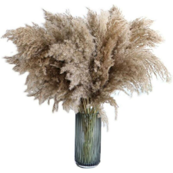 Erba di pampa, 20 pezzi, 60 cm, essiccata naturalmente, matrimonio, bouquet alla moda, fiori artificiali, per la decorazione dinterni, vasi interni en oferta